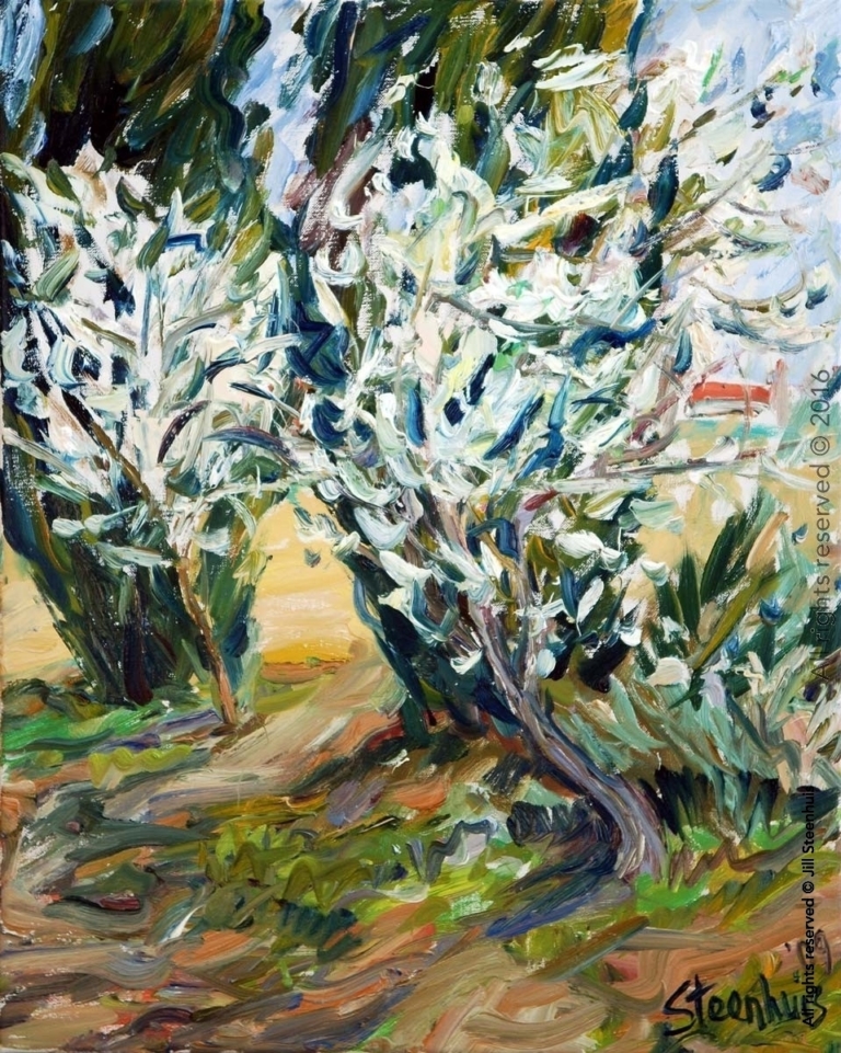 Flowering Almond Trees & Cypress Trees