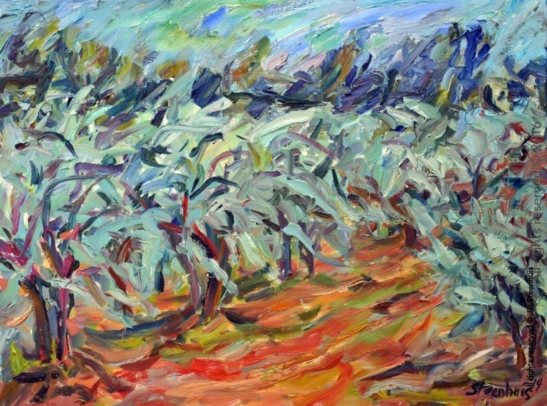 Olive Trees & Red Earth in the Mistral