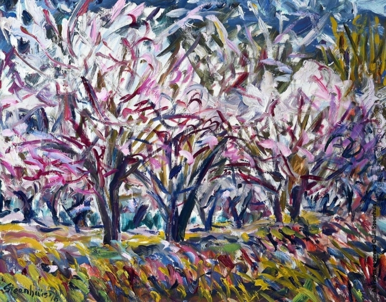 The Dance of the Almond Trees at Valcros