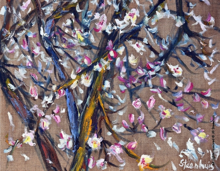 Almond Tree in Flower