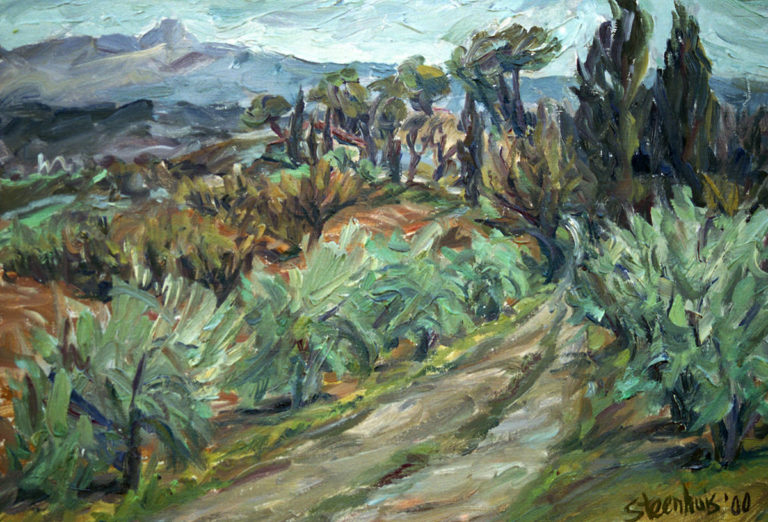Road through Olive Orchard