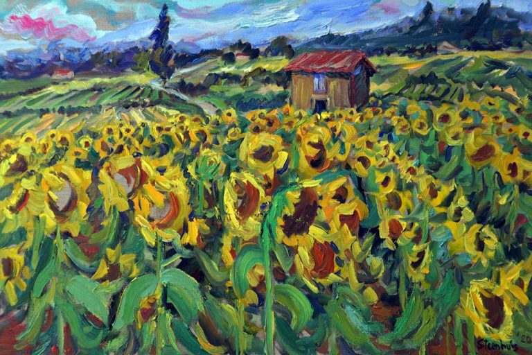 Sunflower Fields & Cabin